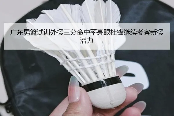 广东男篮试训外援三分命中率亮眼杜锋继续考察新援潜力